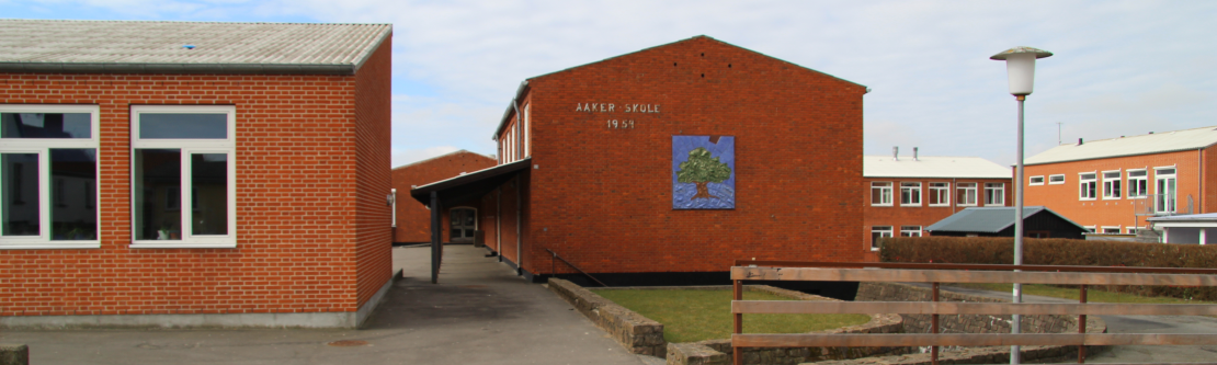 Billede af Hans Rømer Skolen