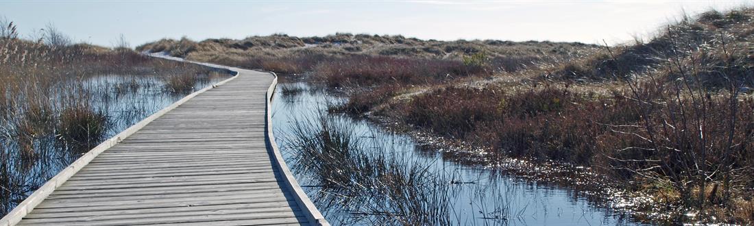 Dueodde Strand