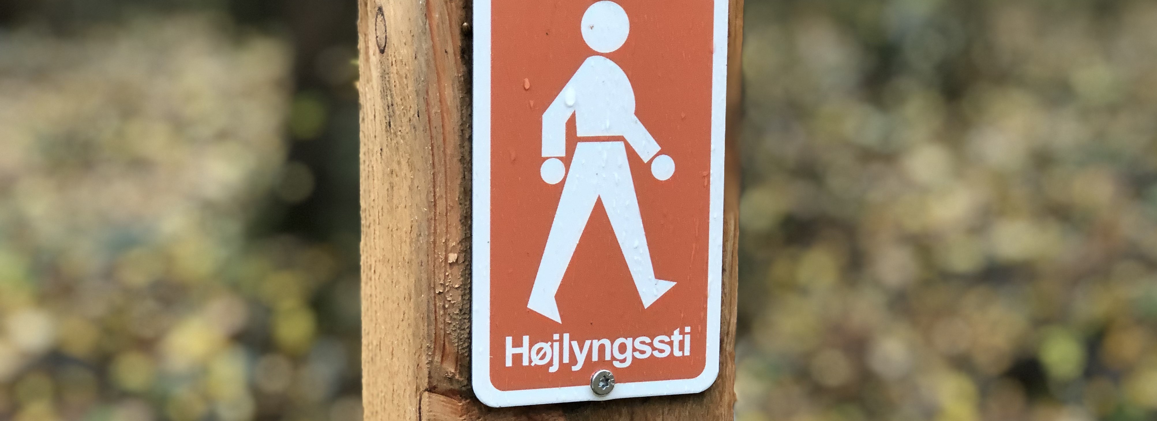 Højlyngsstien