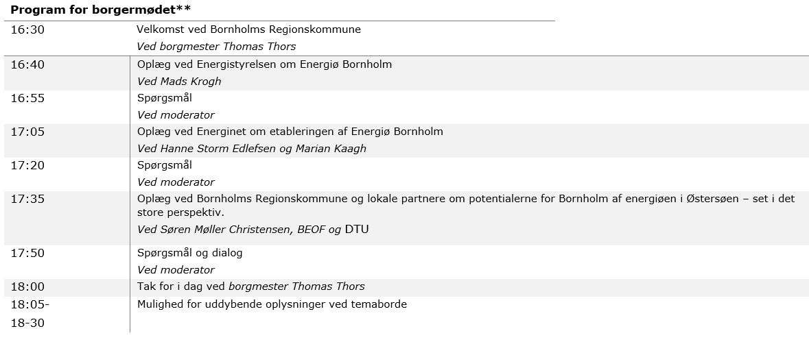 program for borgermøde.JPG