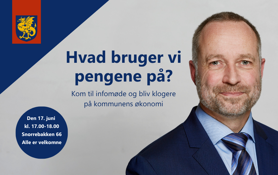 hvad bruger vi pengene til.png