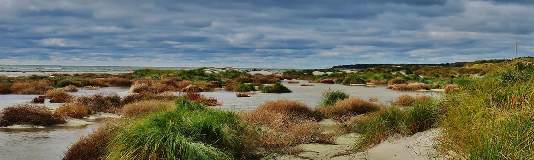 Duodde strand