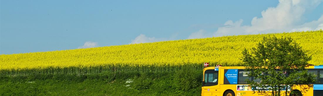 Billede af bus i landskab