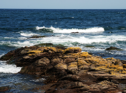 Hav og klipper på Bornholm