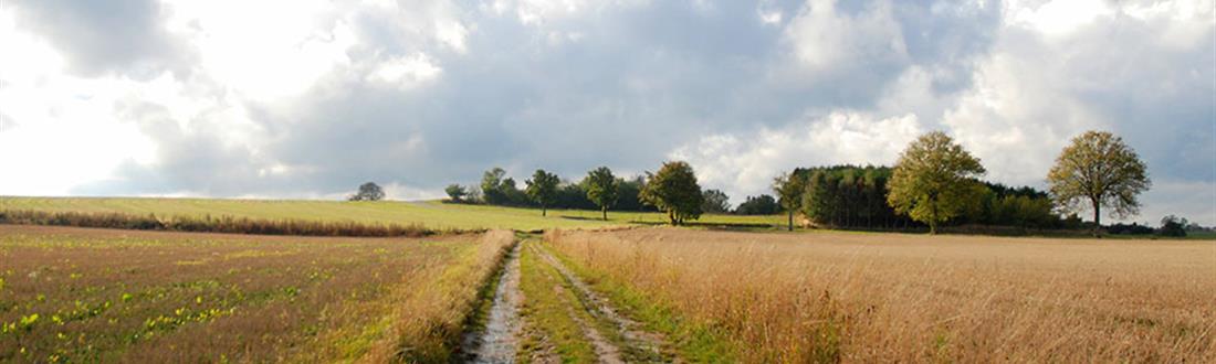 Efterårshimmel